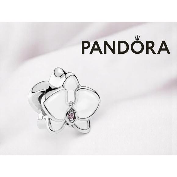 Authentic Pandora Sterling Silver Charm - NWT - Picture 1 of 3